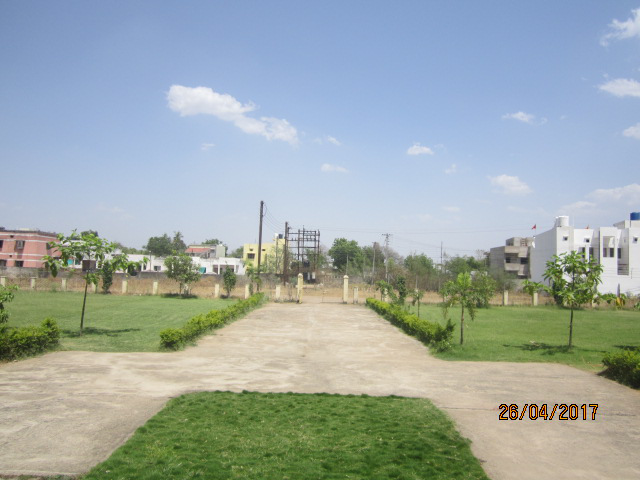 garden